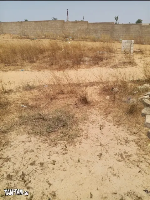 Terrain à vendre à Darou Khoudoss Mboro