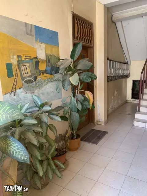 Appartement à vendre aux maristes, les dunes