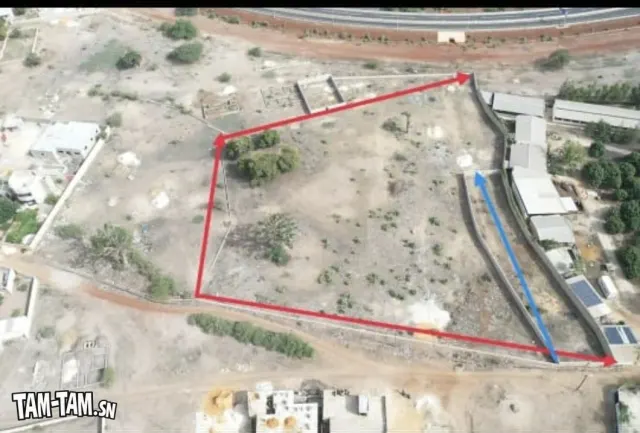 Terrain NGUEKOKH 1 ha