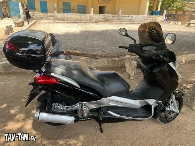 X max