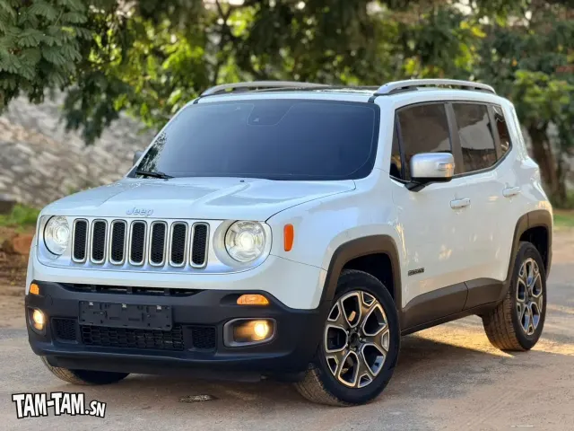 JEEP RENEGADE 2017