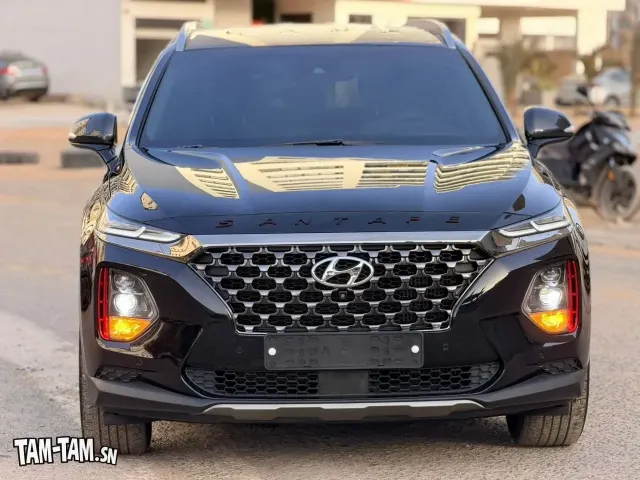 HYUNDAI SANTAFE 2018.19