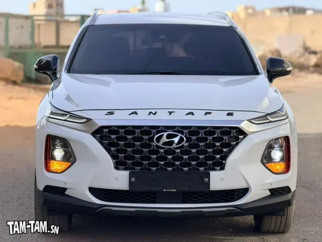 HYUNDAI *SANTAFE * 2018.19