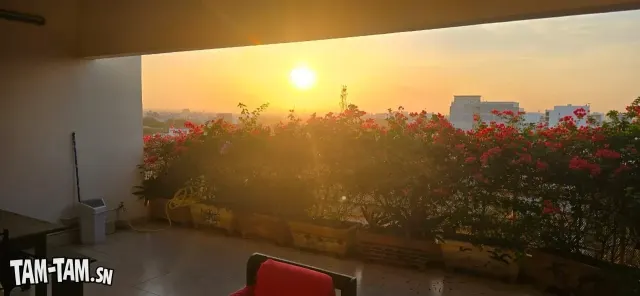Vente appartement Liberté 6 extension