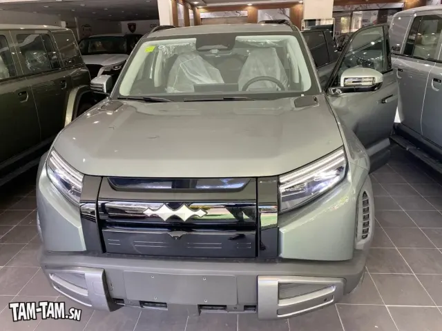 BYD LEOPARD 3 / 2025
