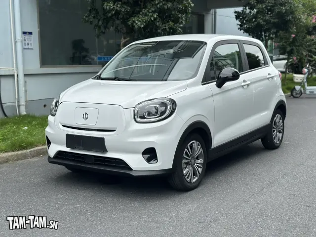 LEAPMOTOR T03