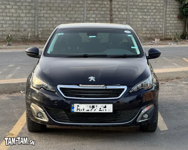 Peugeot 308 Anne 2017