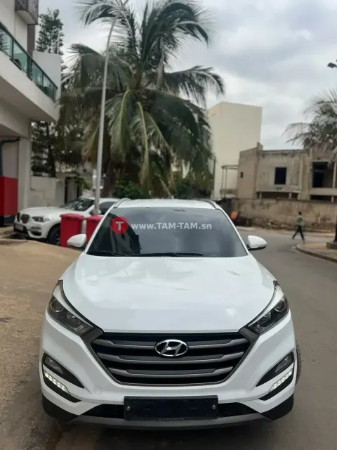 Hyundai santafe année 2016