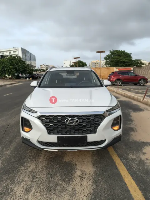 Hyundai santafe année 2019