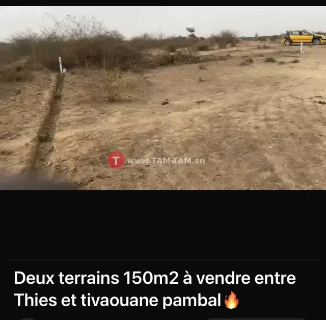 Terrain à vendre entre Thies/pambal