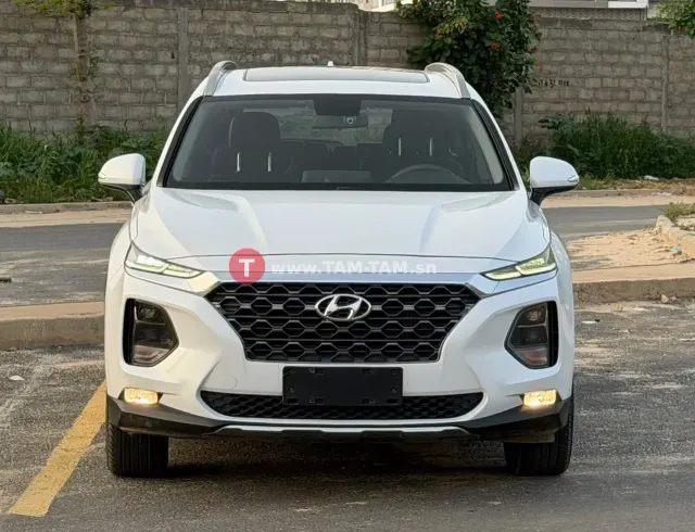Hyundai santafe année 2019