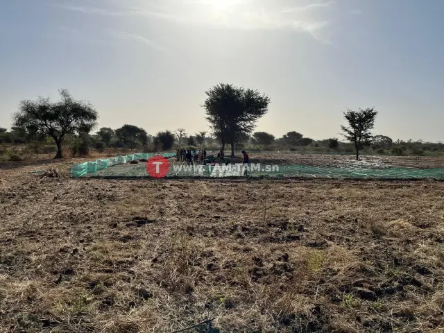 4 hectares 500 à vendre sandiara