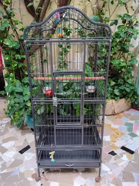Cage perroquet