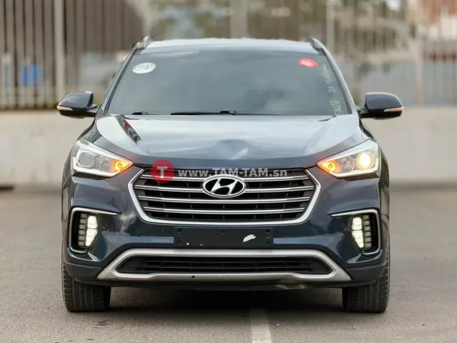 Hyundai maxcruz evgt