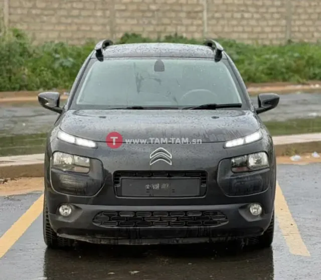 Citation C4 Cactus année 2017
