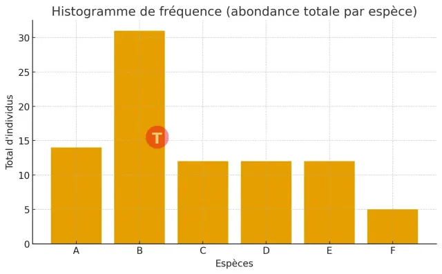 TRADUCTION DE DOCUMENTS