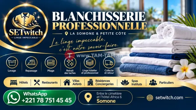 SETwitch – Pressong / Laverie professionnelle