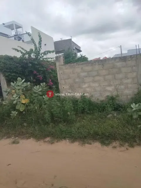Terrain à vendre saly 800m2