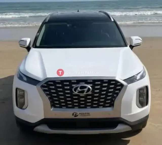 Hyundai palissade