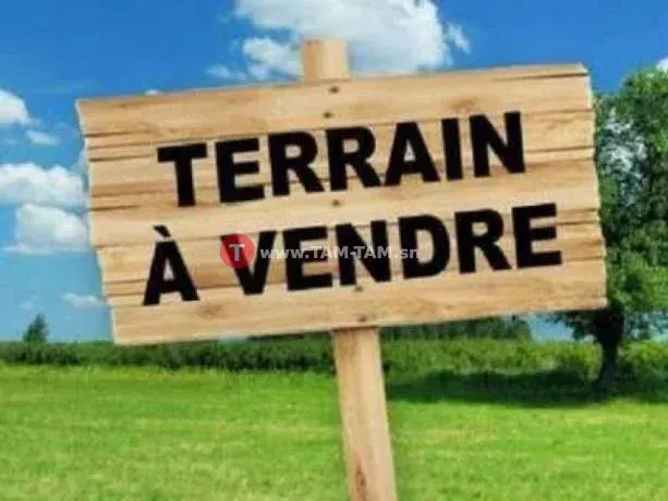Terrain à vendre à Saint louis