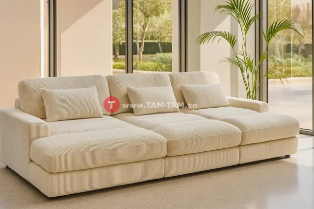 🛋️ CANAPÉ MODERNE ET ÉLÉGANT À VENDRE
