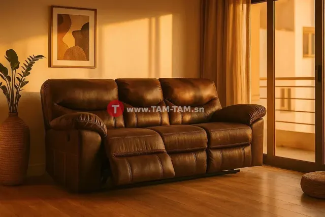 🛋️ CANAPÉ EN CUIR VÉGÉTAL À VENDRE
