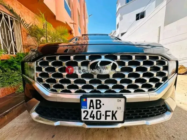 Hyundai santafe Année 2021