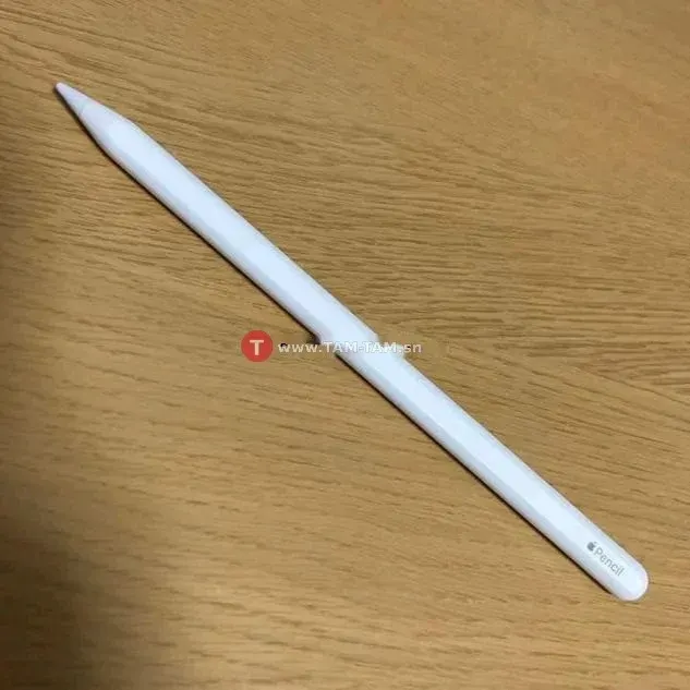 Apple pencil2 (copie conforme)