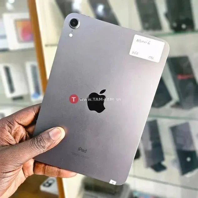 iPad Mini6 256g