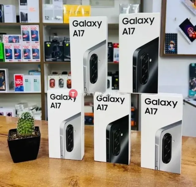 Samsung Galaxy A17 256Go