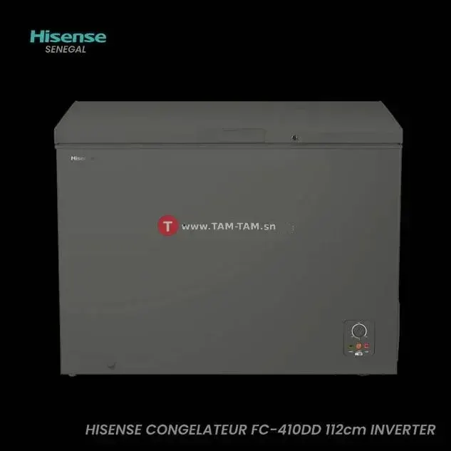 CONGELATEUR HISENSE HORIZONTAL INVERTER GRIS 400l