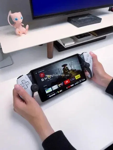PS5 portal vrac