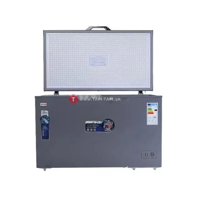 Congelateur Horizontal 500L