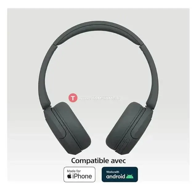 Sony WH-CH520 Casque Bluetooth - Multipoint - Micro