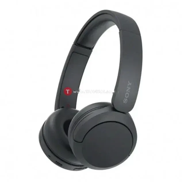 Sony WH-CH520 - Casque Bluetooth - Multipoint - Micro