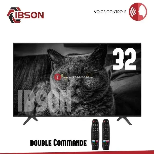 TELEVISEUR IBSON 32'' SMART + 2 TELECOMMANDES