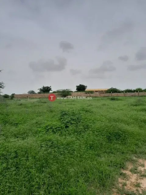 terrain somone