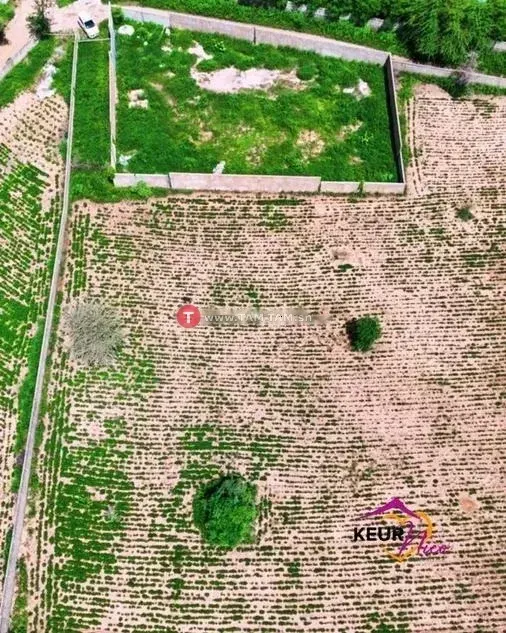 Terrains de 1000 m² à vendre à Saly