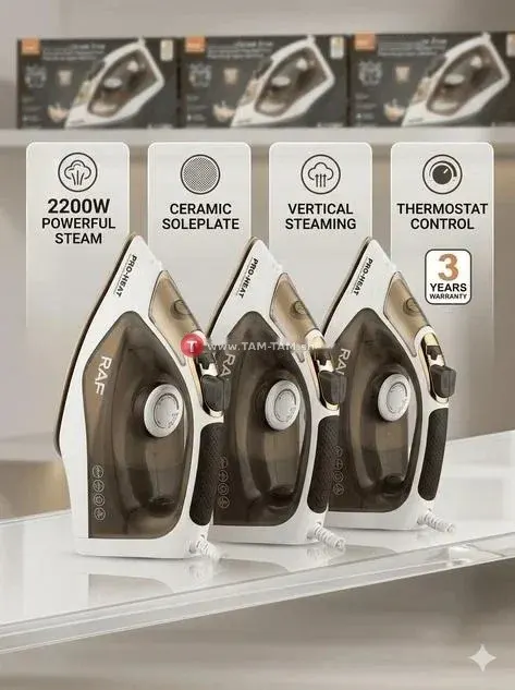 Fer à vapeur RAF 2200W Pro