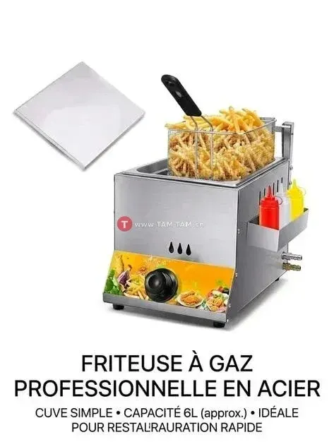 Friteuse à Gaz Professionnelle Acier 6L