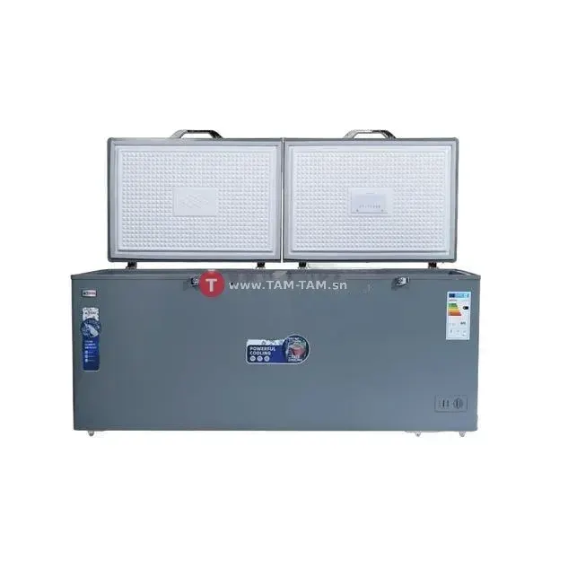 Congélateur horizontal ASTECH 600L