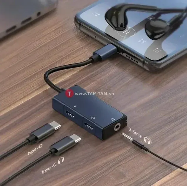 Adaptateur audio professionnel WIWU LT02 USB-C vers USB-C