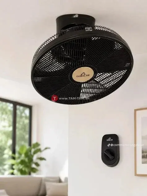 Hunter ventilateur plafond noir télécommande