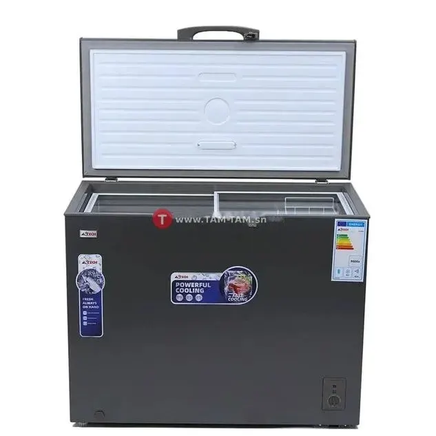 Congélateur ASTECH 300L