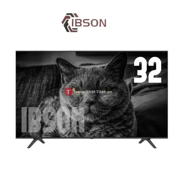 Téléviseurs Ibson 32 pouces smart tv