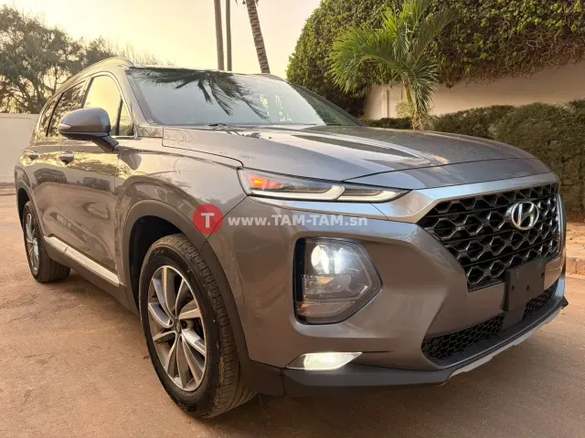 Hyundai Santa fe Anne 2020