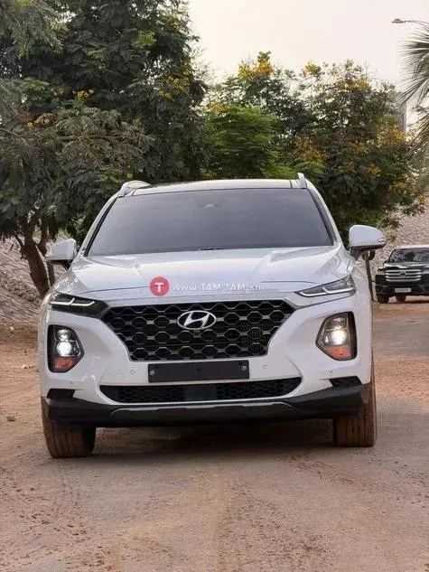 HYUNDAI SANTAFE Année : 2018/2019