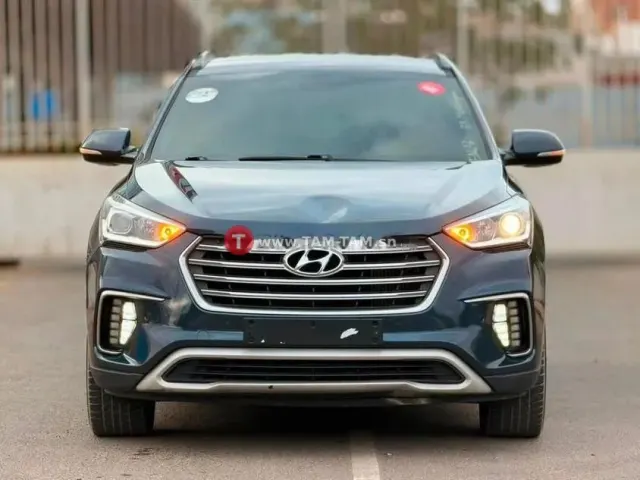 Hyundai MaxCruz Evgt Année : 2017