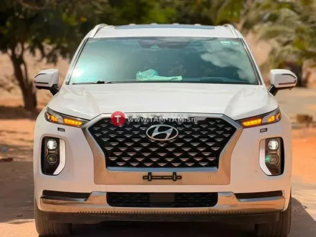 Hyundia palissade 2023