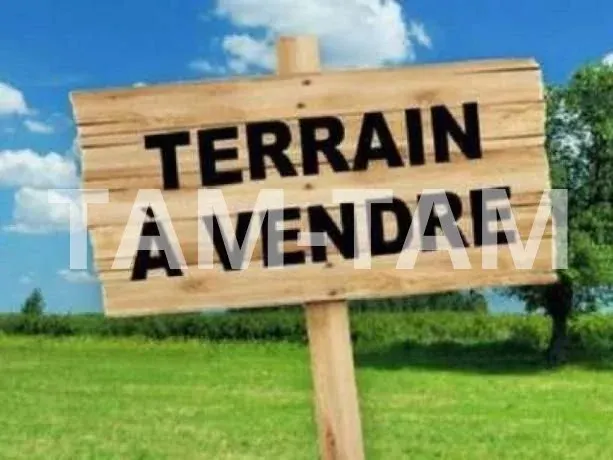Terrain à vendre 950 m²  Département de Rufisque commune de Yene.